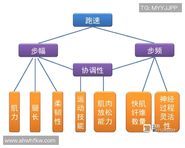 北京篮球队耐力对比深度分析揭示球队潜力与挑战 北京篮球队耐力对比深度分析揭示球队潜力与挑战