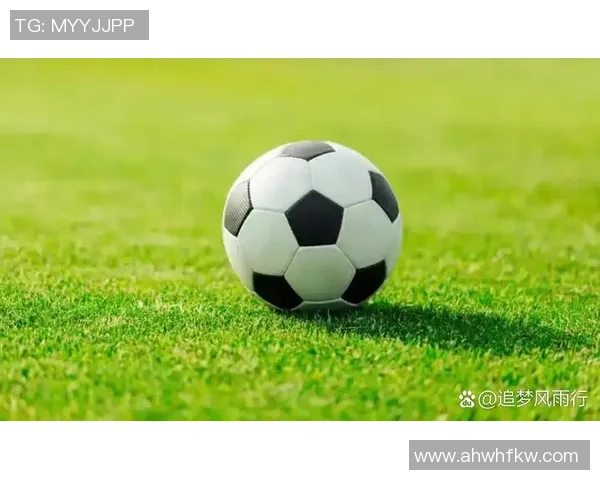 天朗海峰足球：激情与梦想交织的绿茵场上追逐辉煌的青春故事