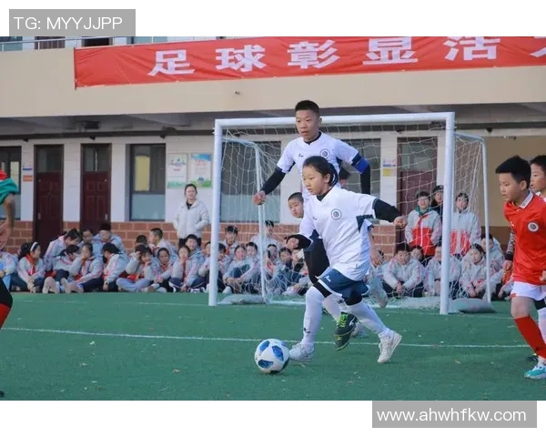 恋物足球：探寻足球背后的情感与文化交织之美