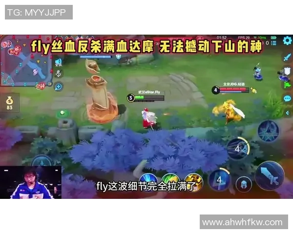 王者荣耀最新实力排行榜揭晓JDG强势夺得第二名引发热议