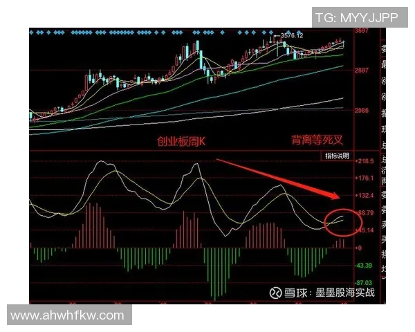 南京排球队与广州排球队赛后复盘分析比赛节奏与关键表现