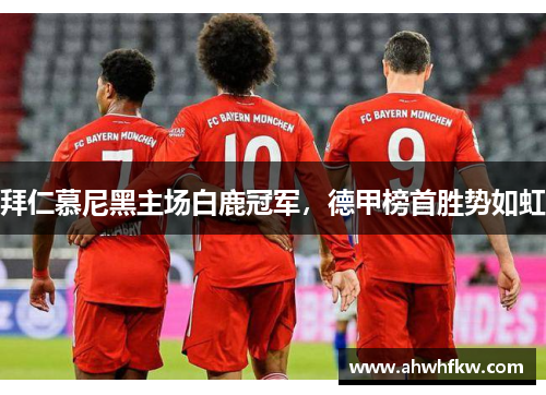 拜仁慕尼黑主场白鹿冠军，德甲榜首胜势如虹