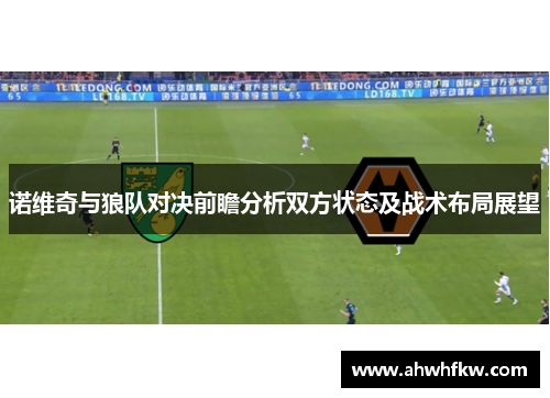 诺维奇与狼队对决前瞻分析双方状态及战术布局展望