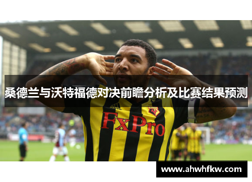 桑德兰与沃特福德对决前瞻分析及比赛结果预测