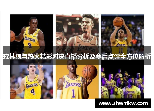 森林狼与热火精彩对决直播分析及赛后点评全方位解析